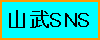 RSNS